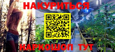 гидра Гай