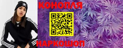 spice Гатчина