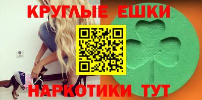 spice Гатчина
