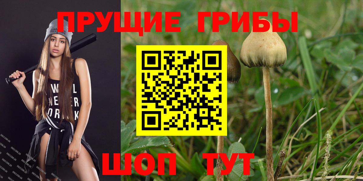 Галлюциногенные грибы мицелий  Усинск  Псилоцибиновые грибы Psilocybe 