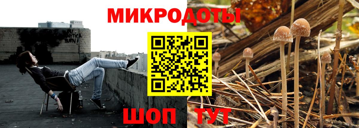 Псилоцибиновые грибы Psilocybine cubensis  Вход с VPN  Усинск 