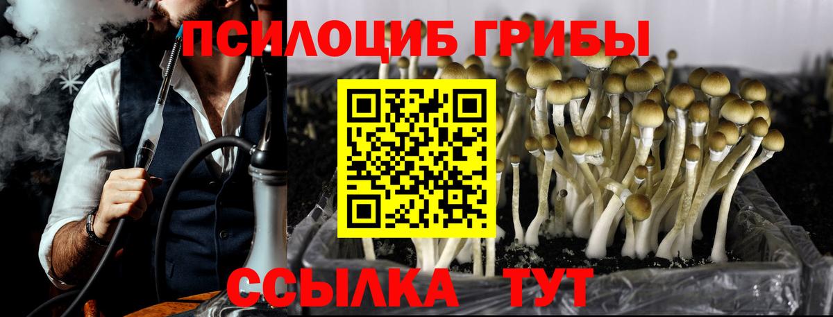 Псилоцибиновые грибы прущие грибы Усинск