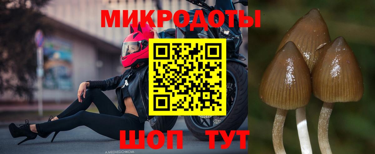 Галлюциногенные грибы прущие грибы Усинск